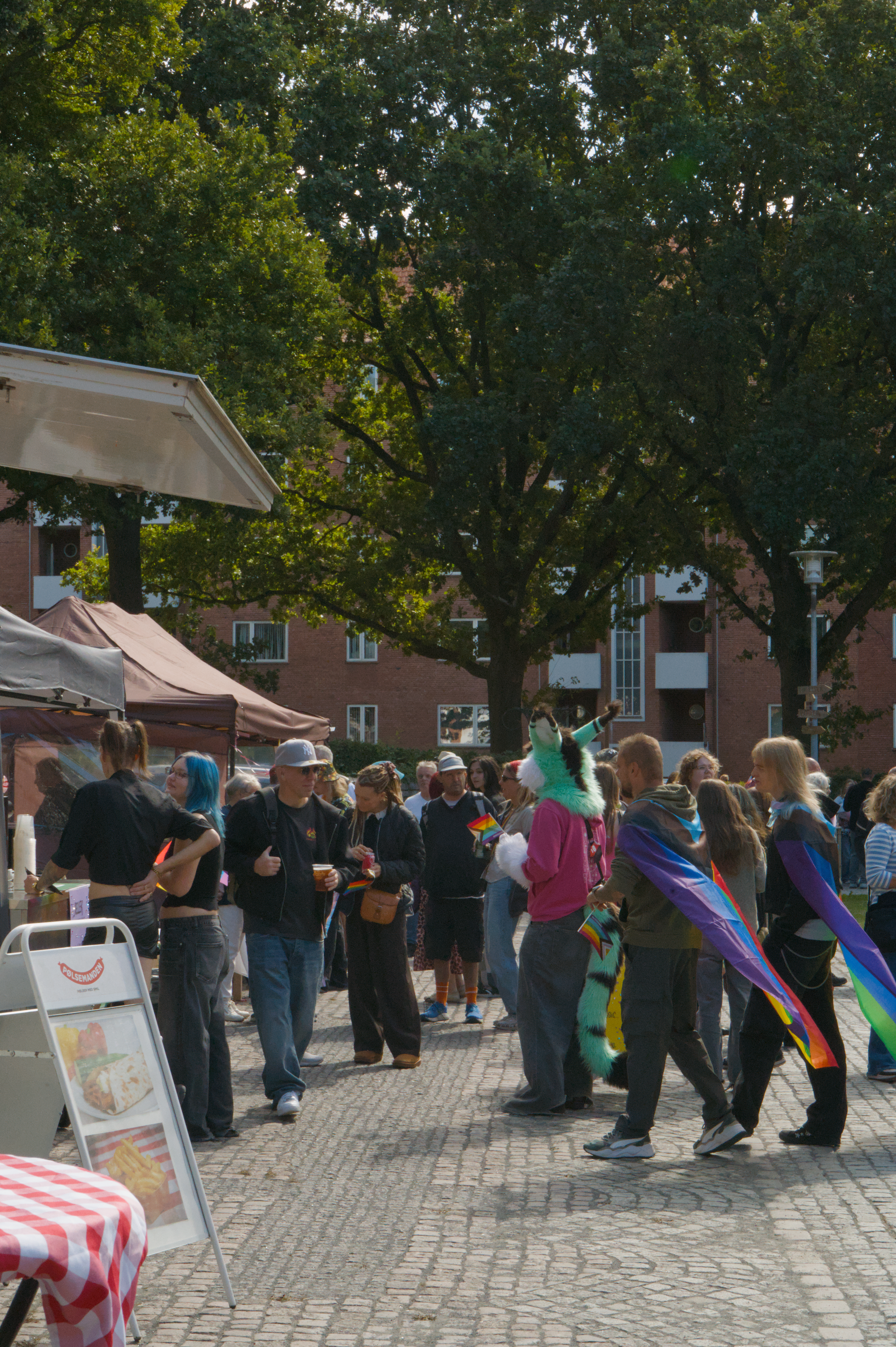 https://p.drkt.eu/2026/HorsensPride/_DSC1332.jpg